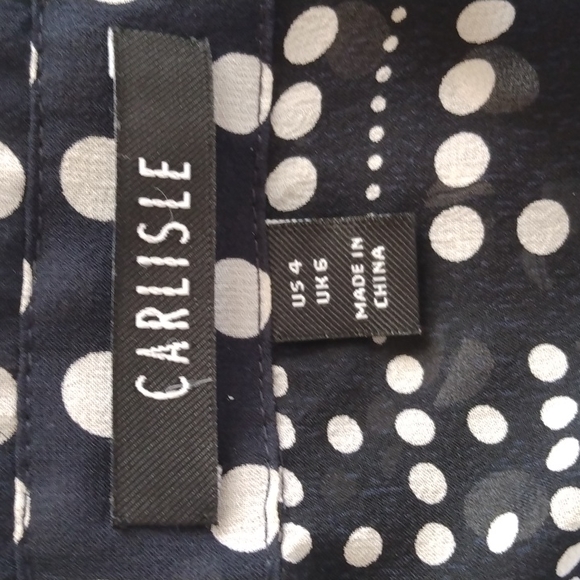 Carlisle Silk Semi-Sheer Blouse - Picture 8 of 10